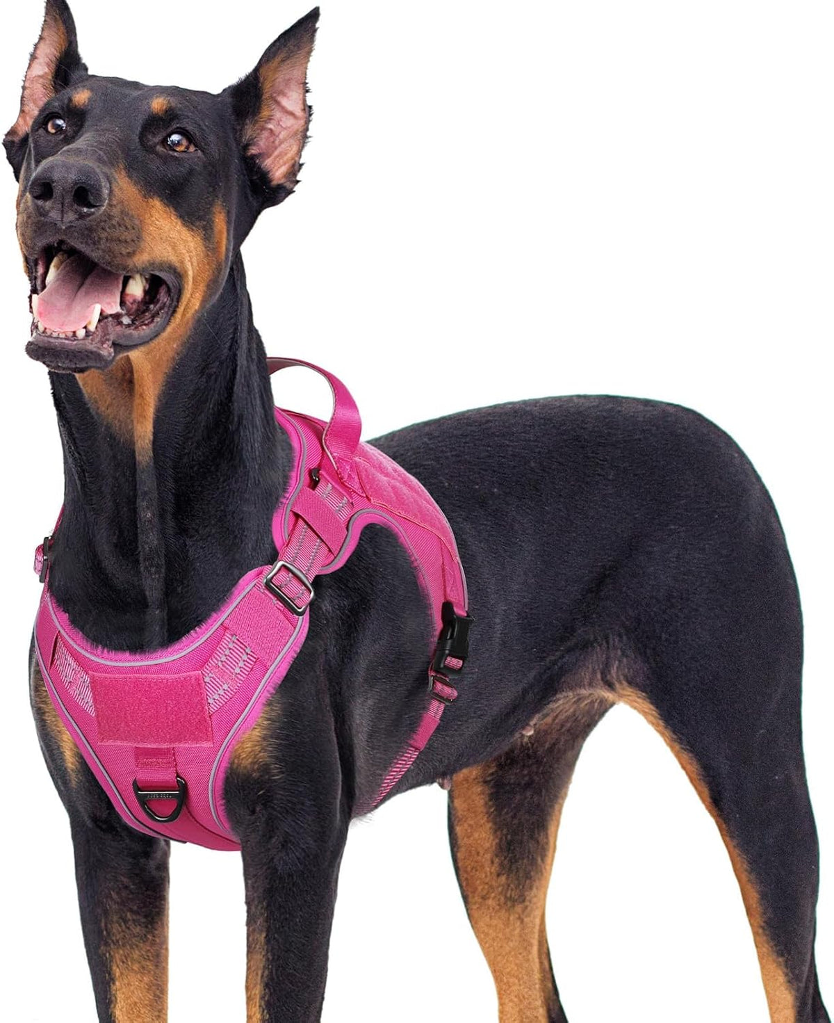 rabbitgoo Dog Harness for Large Dogs No Pull, Tactical Service Pet Vest with Molle and Control
