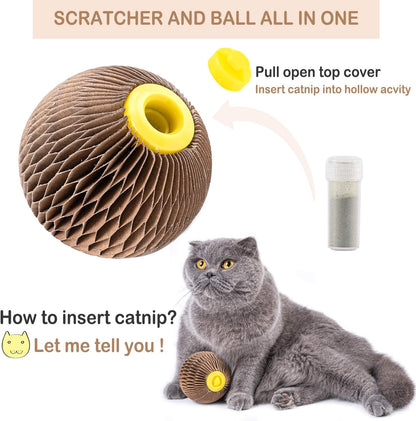 AREIIA Catnip Ball Toy for Cats Catnip Refillable Scratcher Ball Kitty's Faithful Playmate Reduce