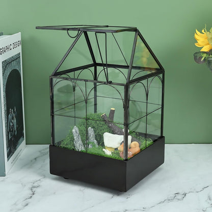 HighFree Glass Terrarium with Metal Tray, Glass Greenhouse Terrarium Kit for Succulents, Cacti