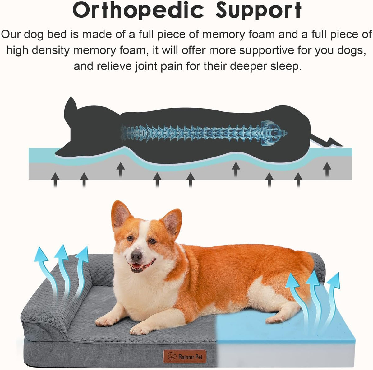 Orthopedic Dog Bed, 3 Inch Memory Foam Dog Beds for Large Dogs, Washable Removable Cover, Nonskid