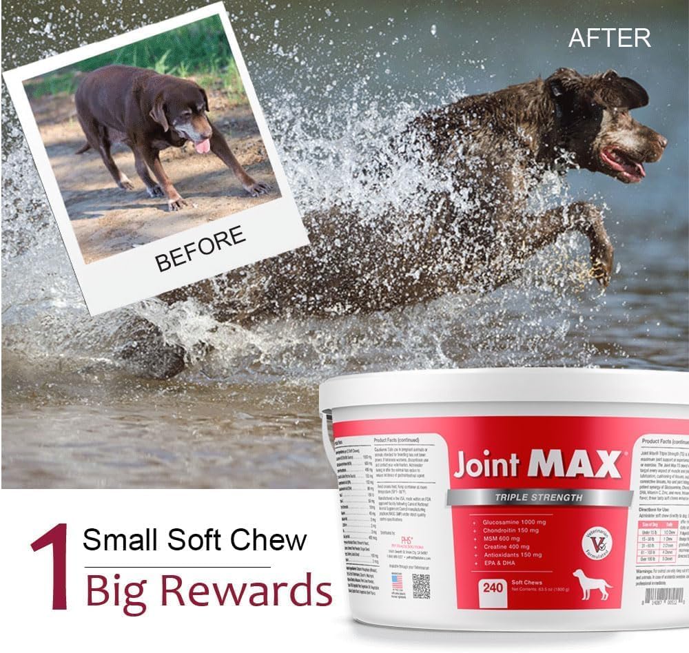 TS Joint Supplement Vet Formulated Pain & Inflammation Relief Treats Hip Dysplasia &
