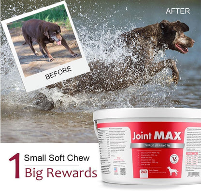 TS Joint Supplement Vet Formulated Pain & Inflammation Relief Treats Hip Dysplasia &