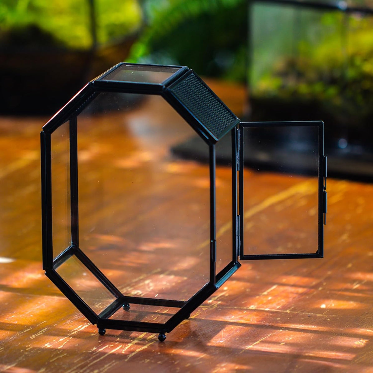 NCYP Mini Glass Terrarium with Vent and Door for Succulents Plants, Jumping Spiders, Insect