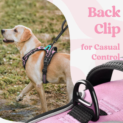 rabbitgoo Dog Harness Small Sized, No Pull Pet Harness with 3 Buckles, Adjustable Soft Padded Vest