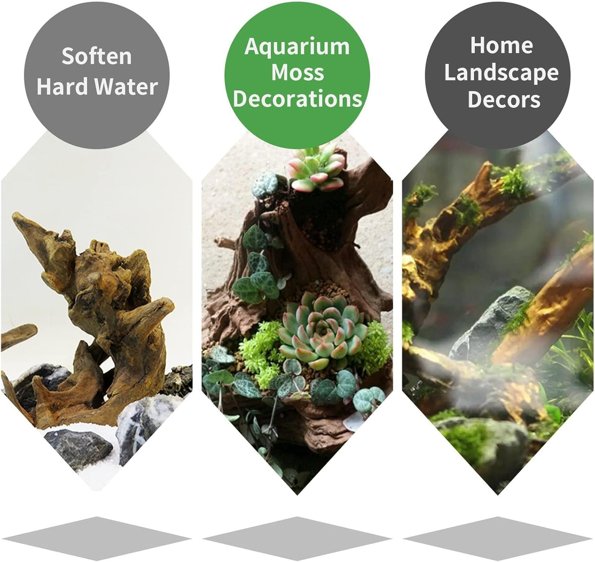 Hamiledyi 2 Pcs Large Driftwood for Aquarium 8-18 Inch Driftwood Branches Reptiles Aquarium