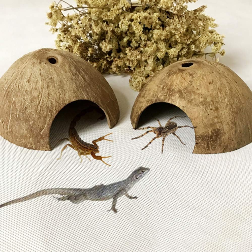 PINVNBY 2 PCS Natural Coconut Reptile Hideouts Lizard Coco Hut Hermit Crab Hut Aquarium Fish Hide