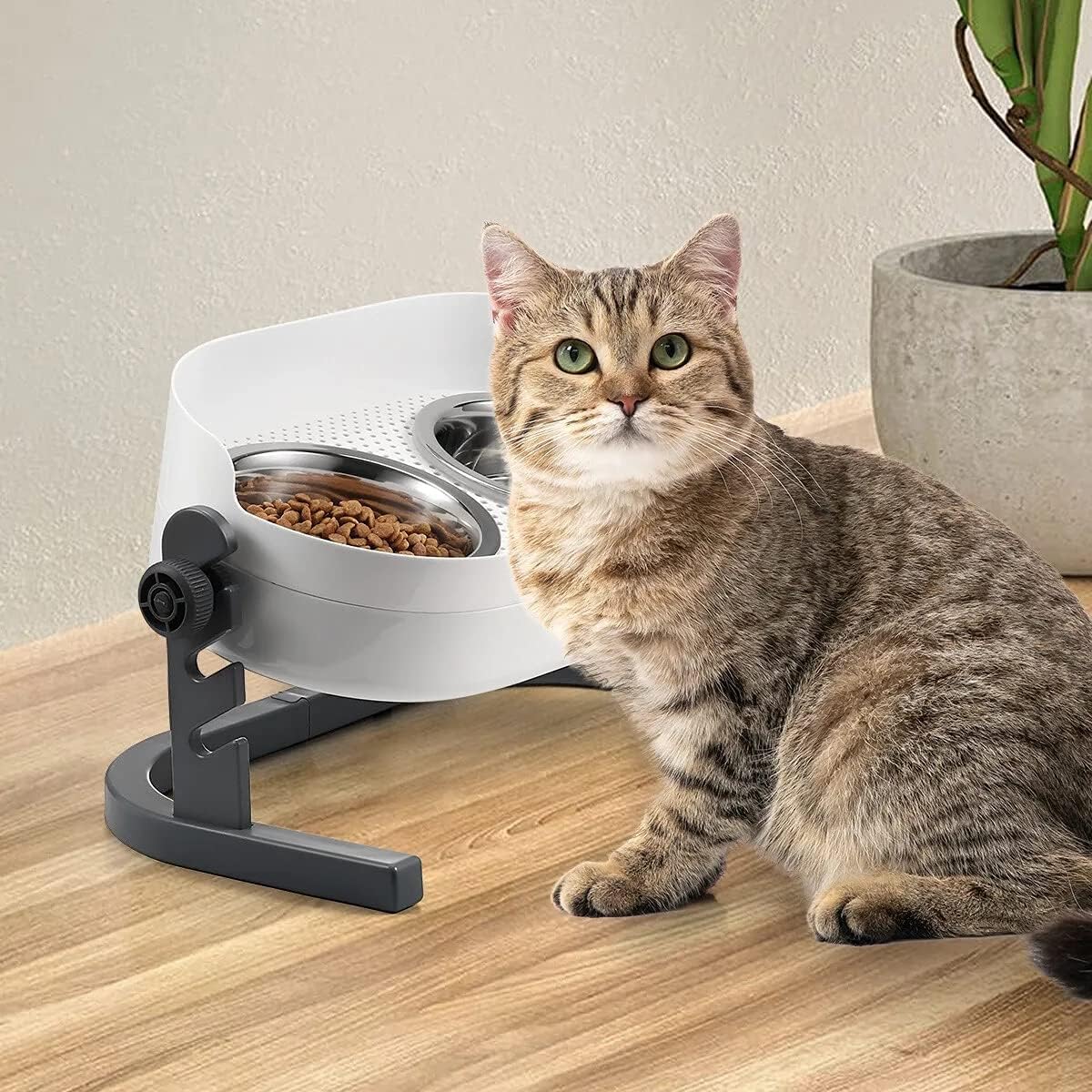 All for Paws Height Adjustable Cat Elevated Bowls Stainless Steel Dog Food Water Bowls, Height