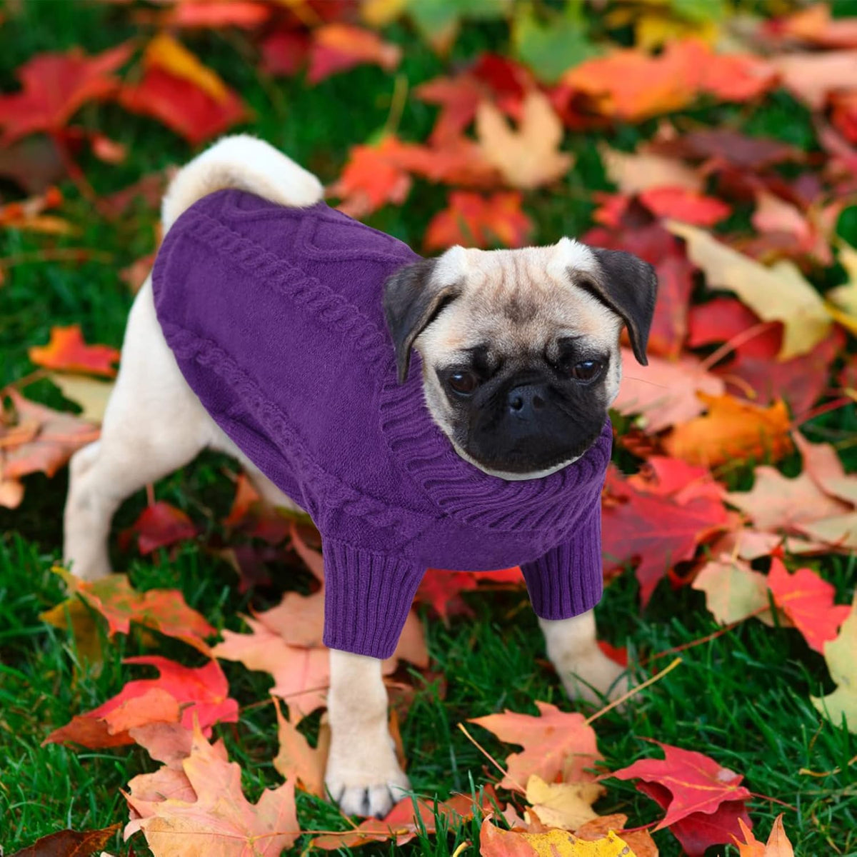 Queenmore Small Dog Pullover Sweater, Cold Weather Cable Knitwear, Classic Turtleneck Thick Warm