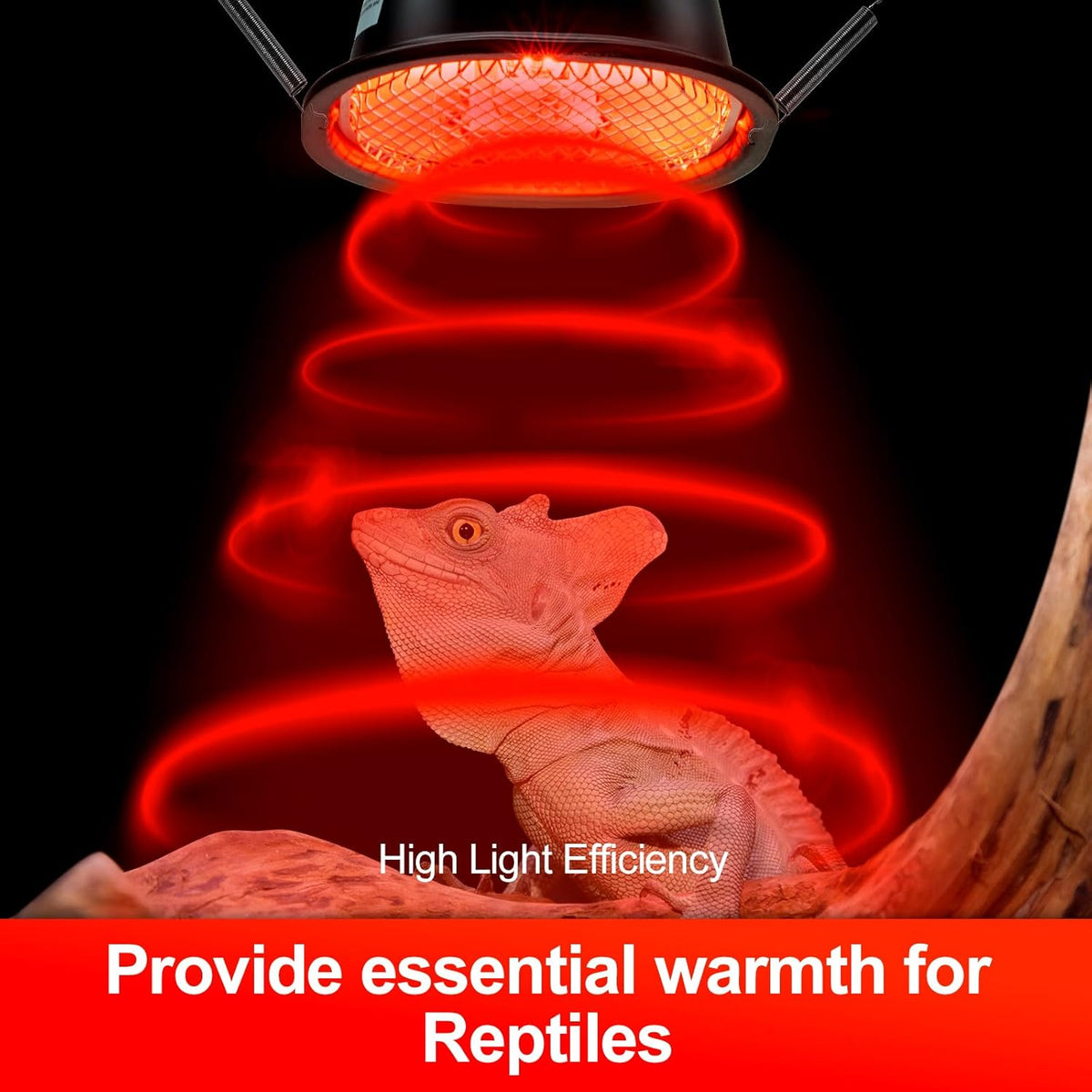 G9 Reptile Infrared Heat Lamp, Terrarium Heating Lamp Fixture with 50W UVA Low Profile Night Red