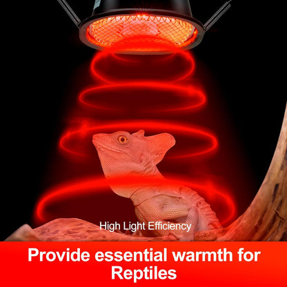 G9 Reptile Infrared Heat Lamp, Terrarium Heating Lamp Fixture with 50W UVA Low Profile Night Red