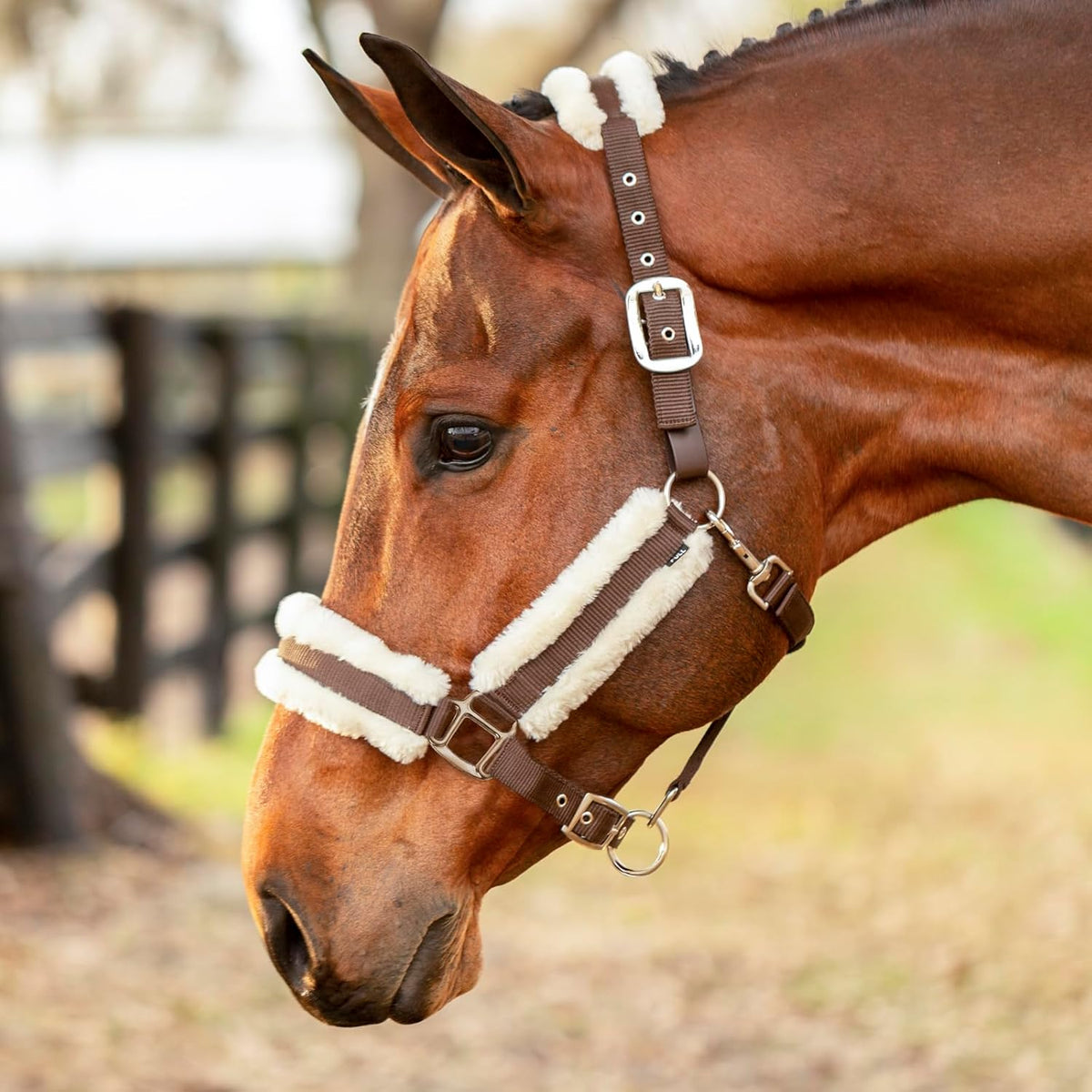 Equinavia Valkyrie Soft Ultra Fleece Padded Adjustable Breakaway Horse Halter - Brown/Ivory White