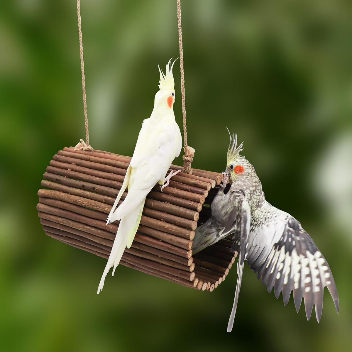 Bird Parrot Swing Toys, Hanging Bird Perch Stand, Natural Willow Wood Parrot Hammock, Bird Cage
