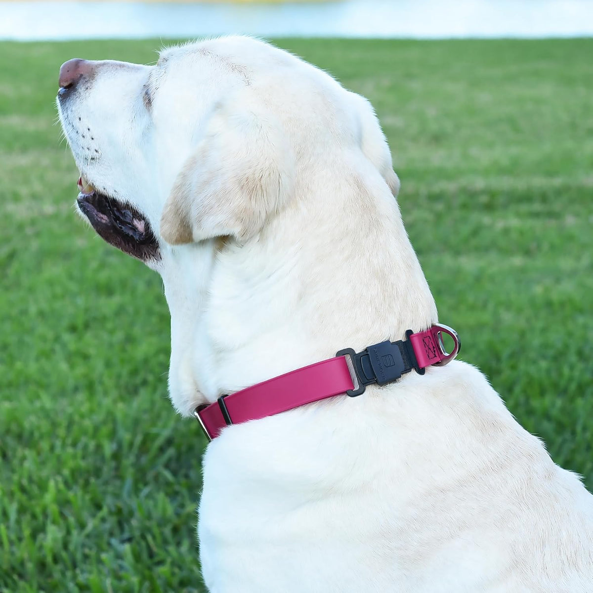 Dogline Biothane Waterproof Dog Collar with Herm Sprenger Black Stainless Steel Quick Release