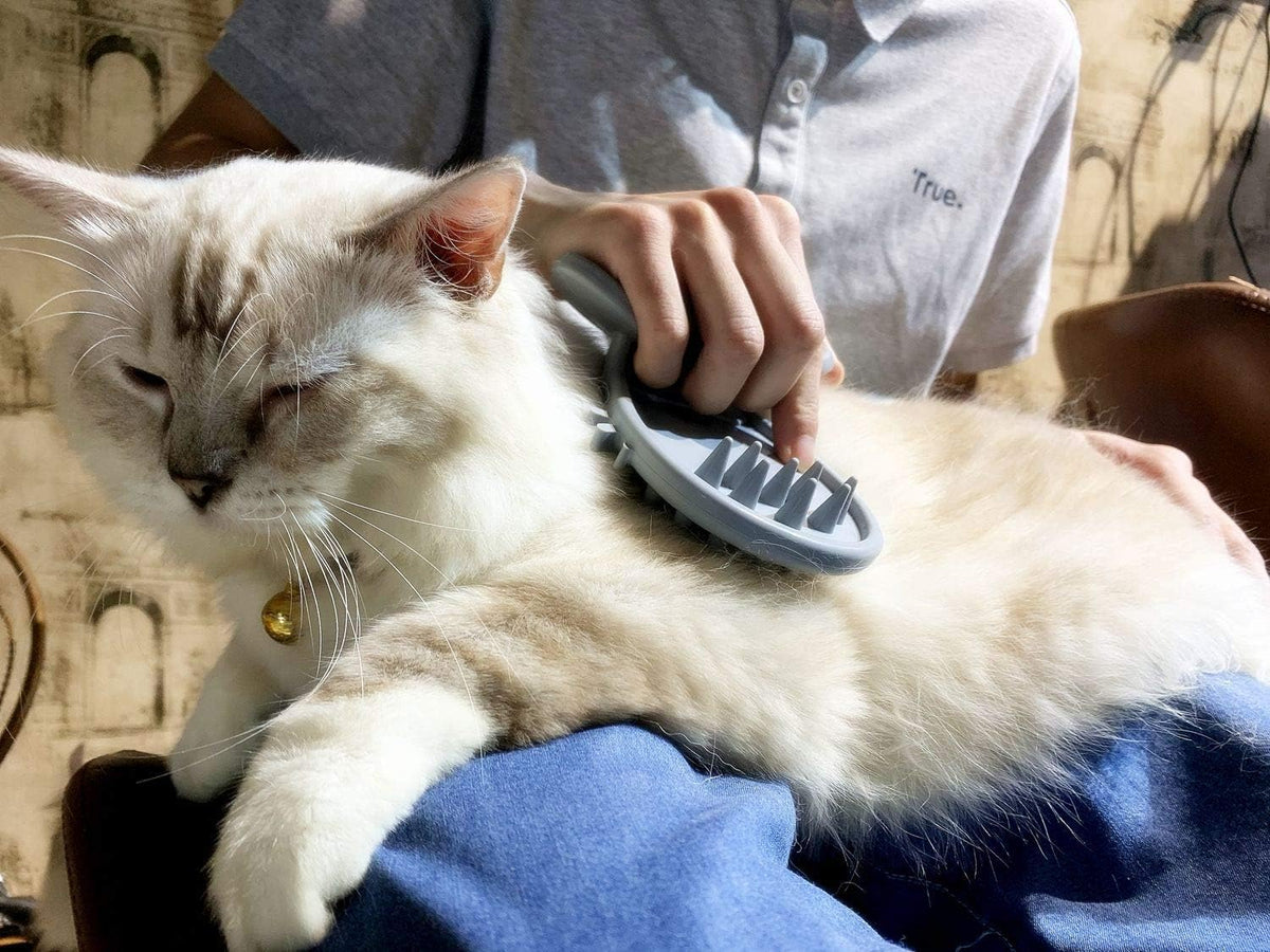 Cat Brush Shedding Grooming, Soft Massage Cat Tongue Brush, Licking Your Cat Like a Mama Cat to