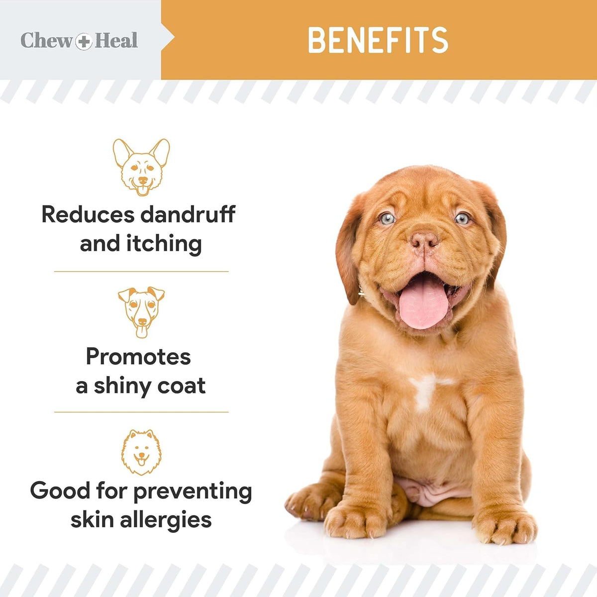 Salmon Oil for Dogs - 180 Soft Chew Omega Treats for Skin and Coat - Fish Oil Blend of Essential