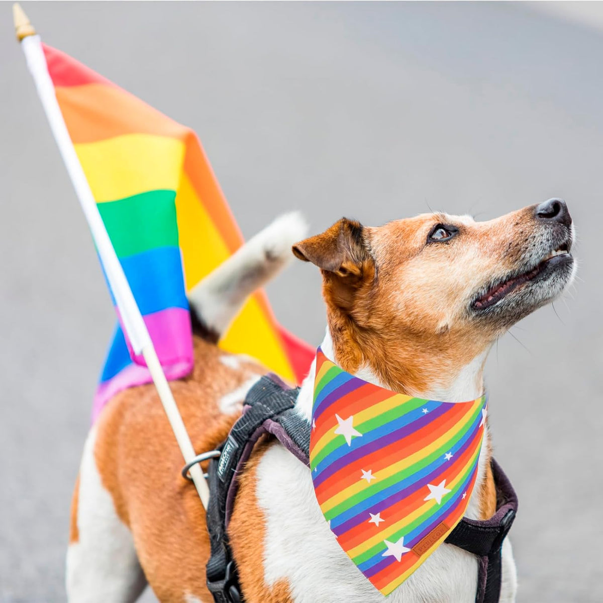 PTDECOR Rainbow Dog Bandanas Pride Day, Multi Size,“Love is Love” Pet Scarf Reversible Triangle