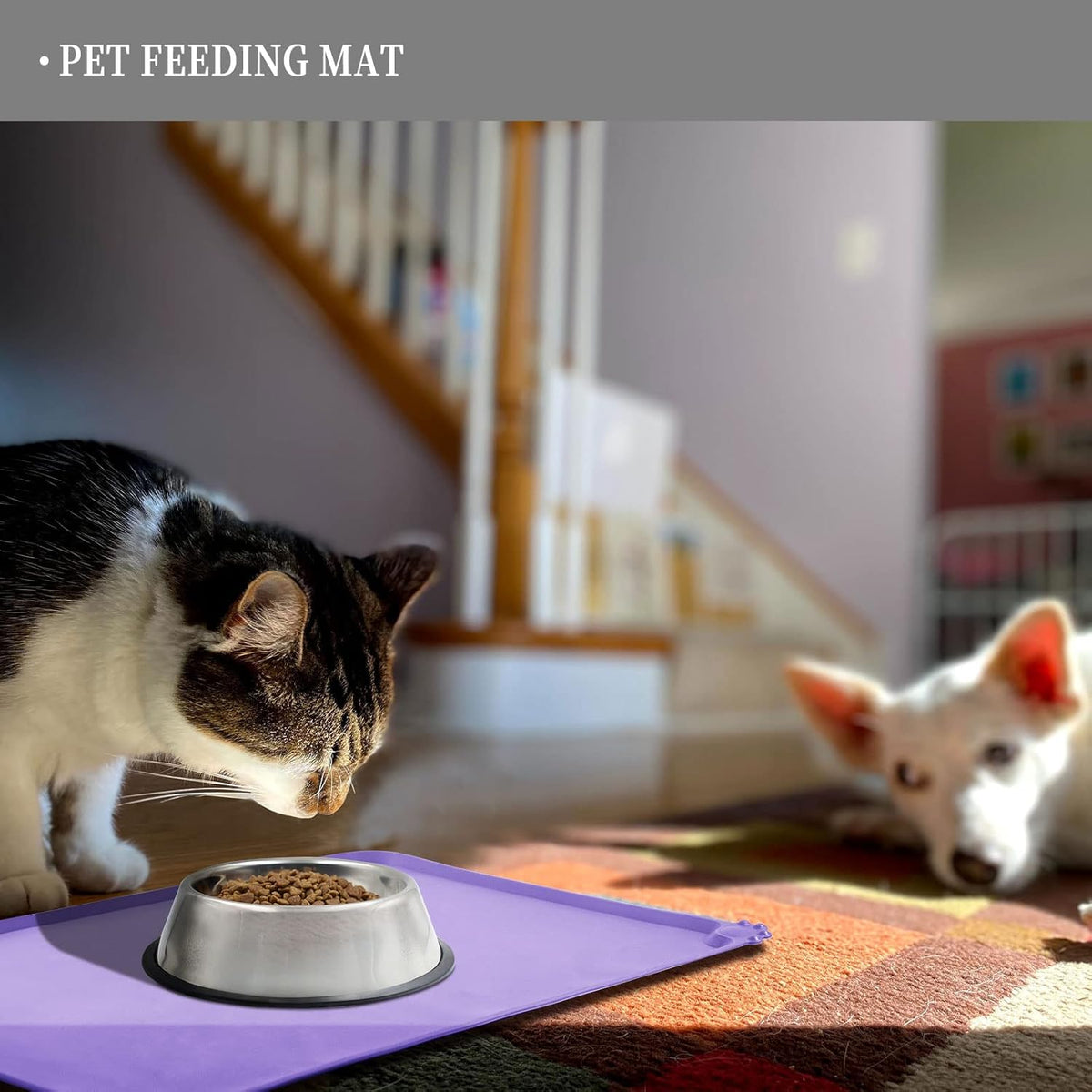 Waterproof Pet Feeding Mat with High Raised Edges, Heavier and Thicker Placemats for Cat Dog Water