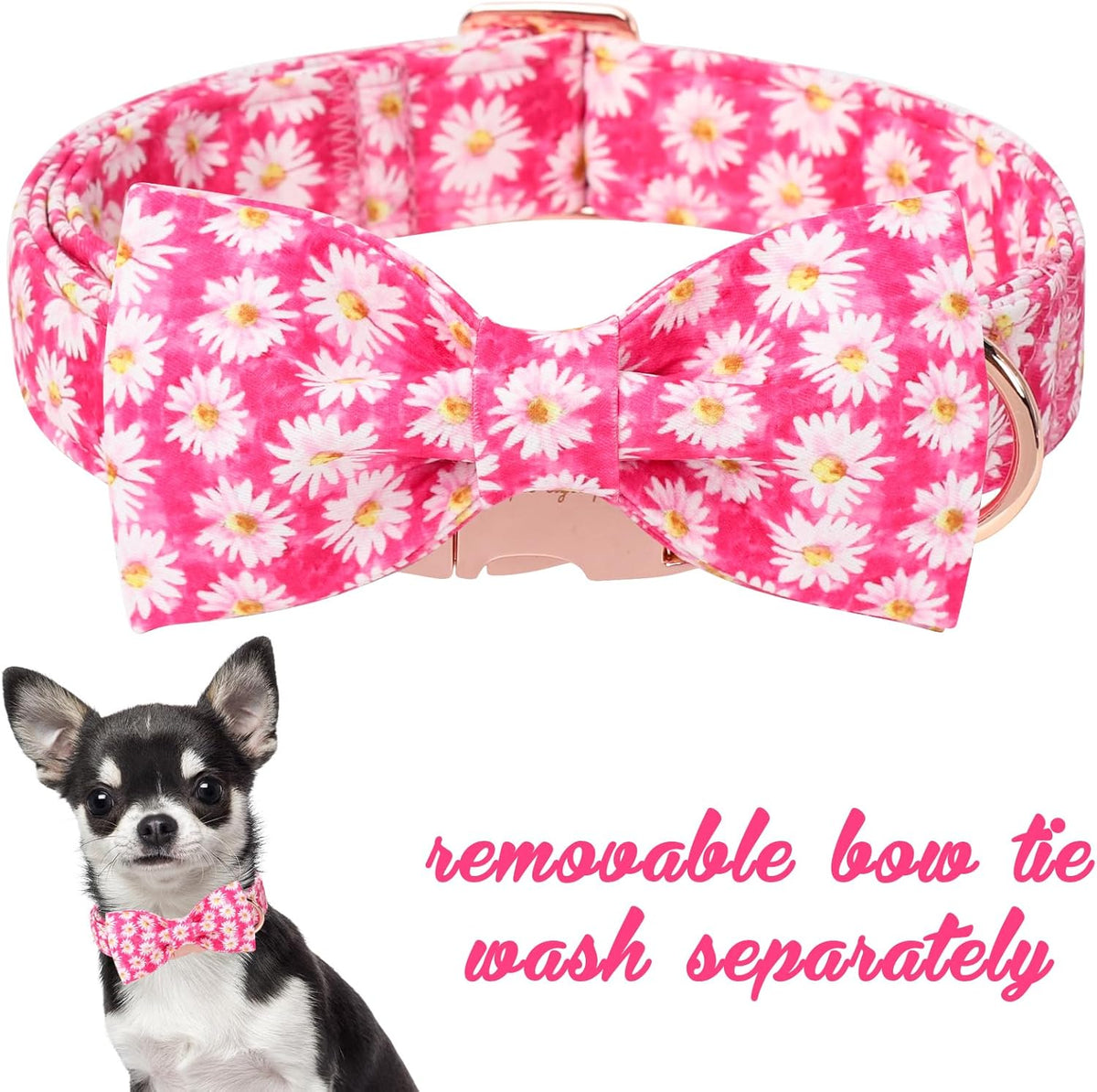 Unique style paws Cartoon Dog Collar with Bow Spring Summer Collar with Flower Rose Daisy for Small