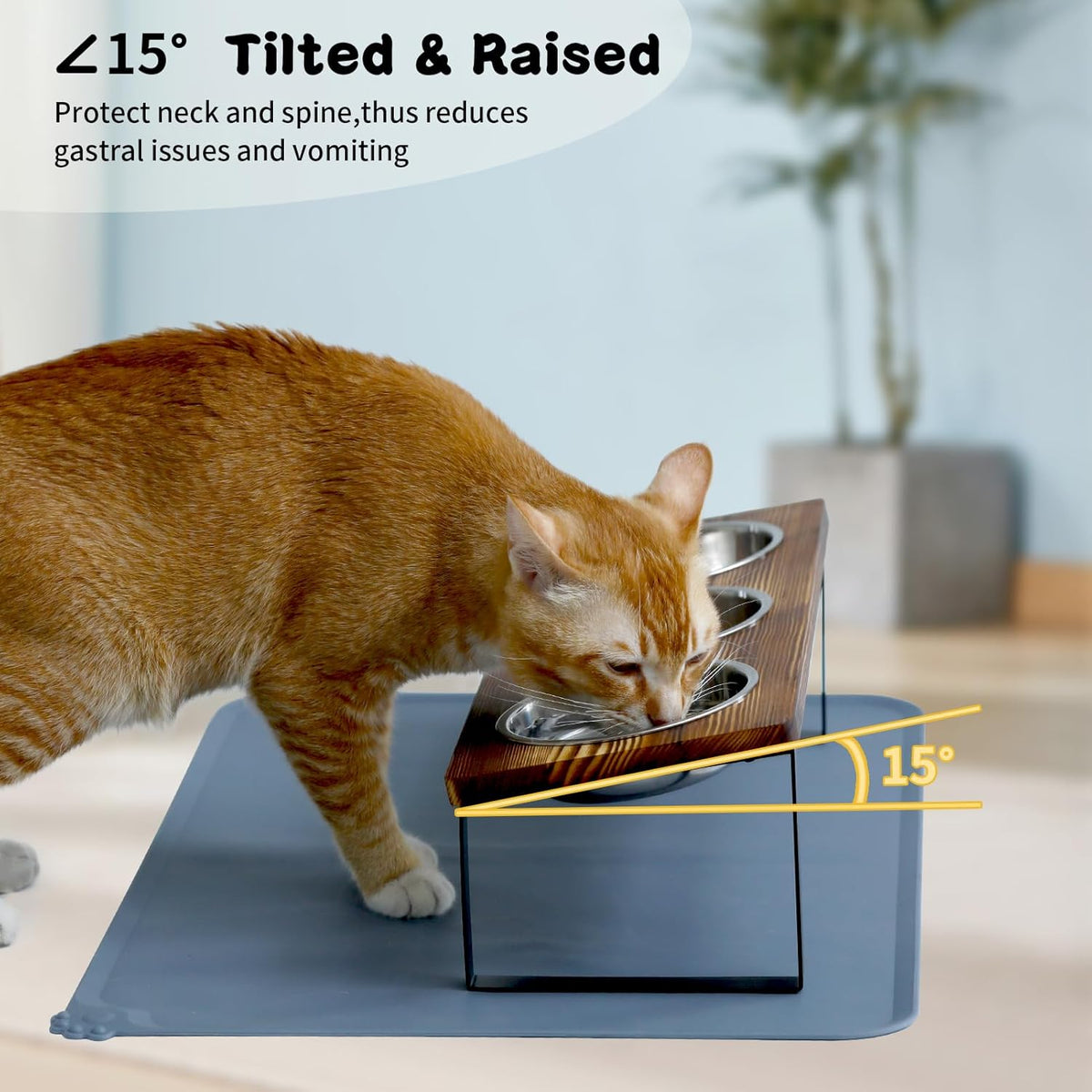 Upgraded Elevated Cat Bowls with Food Mat,15°Tilted Stand Anti Vomiting Raised Cat Dishes for Food