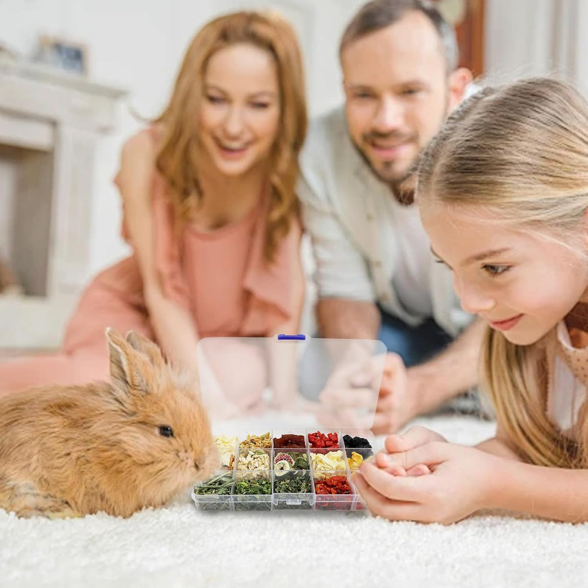 Bunny Treats, Treat Box with 15 Kind of Snacks for Rabbit, Hamster, Chinchilla, Guinea Pig and