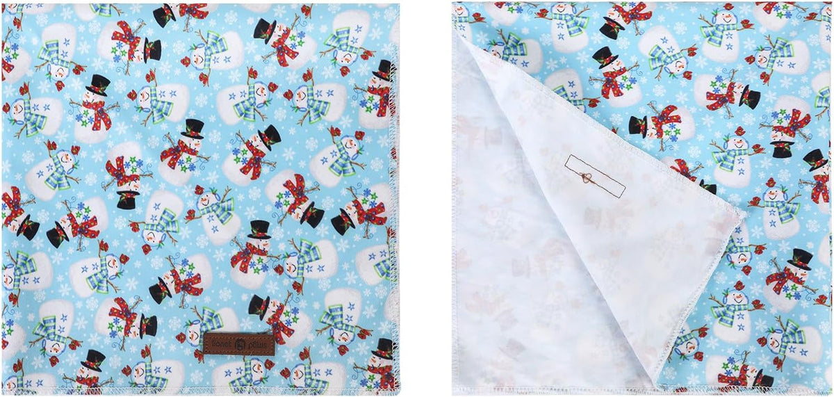 Lionet Paws Christmas Dog Bandana,Fabric Snowman Blue Dogs Kerchief for Medium Large Dogs,Dog