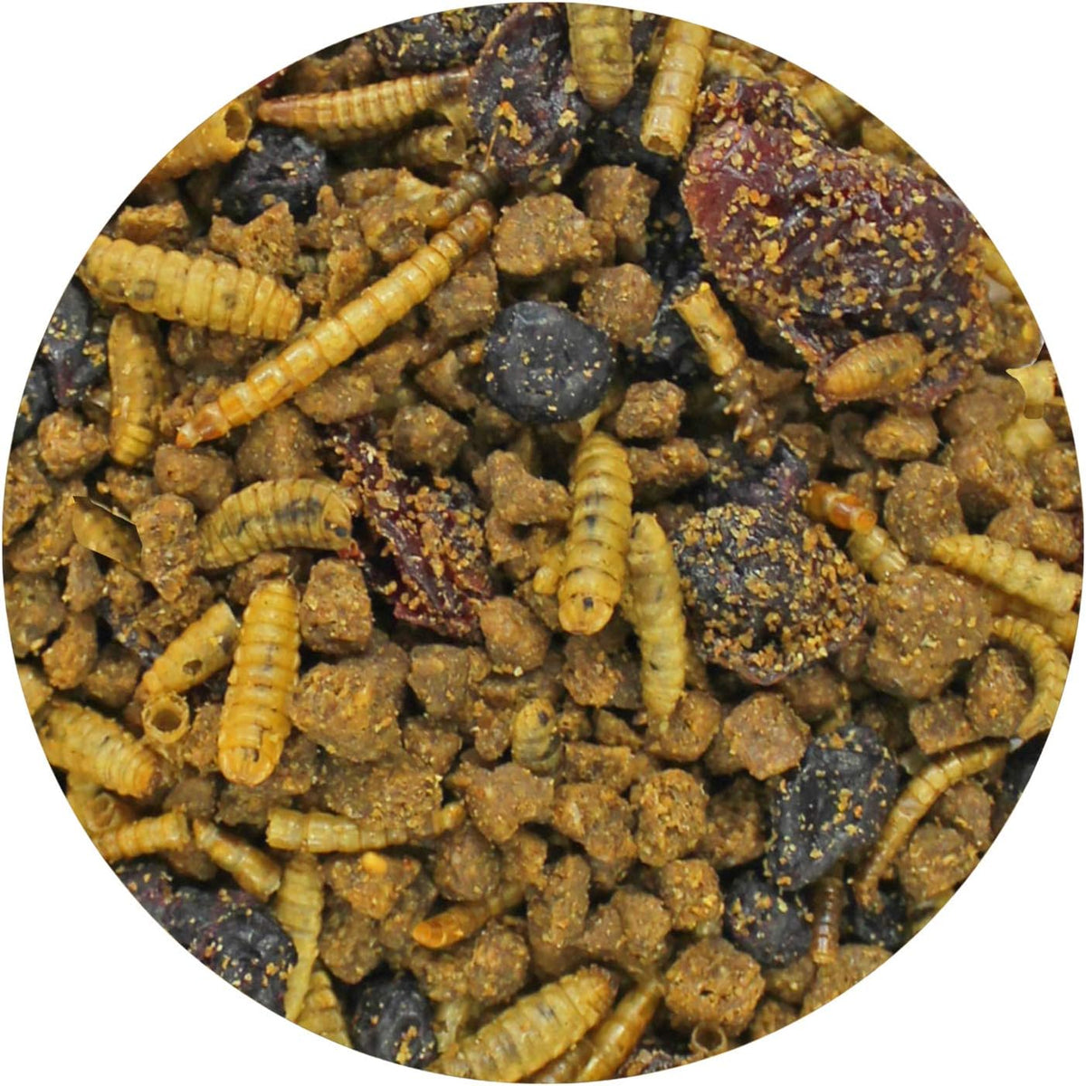 Berries & Bugs 1.5 lb - All Natural High Protein High Fiber Food for Hedgehogs, Skunks, Opossums