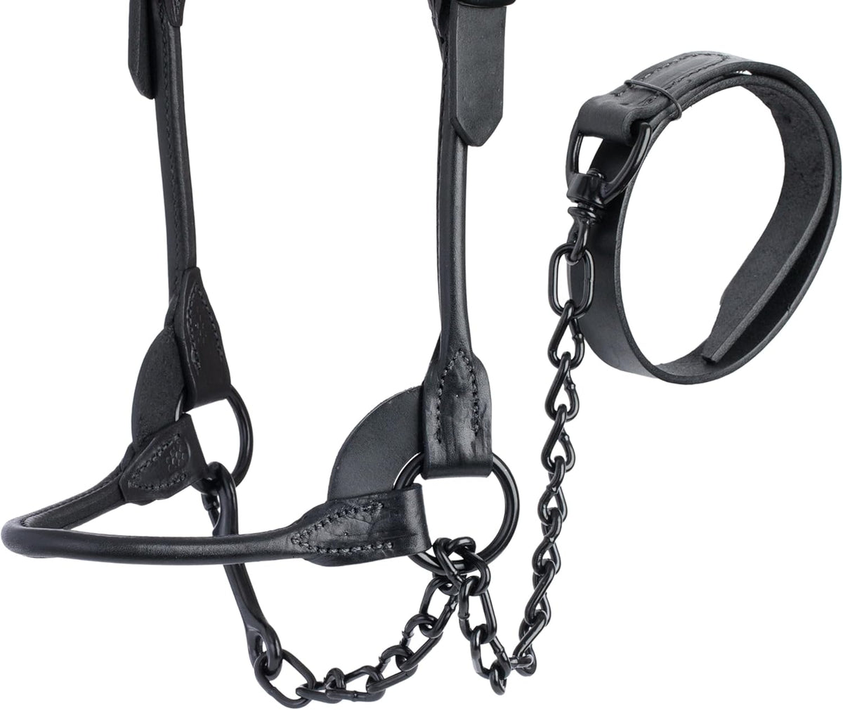 Weaver Livestock Leather Magic Show Cattle Halter, Adjustable, Modern Style Cow Calf Halter
