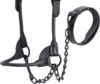 Weaver Livestock Leather Magic Show Cattle Halter, Adjustable, Modern Style Cow Calf Halter
