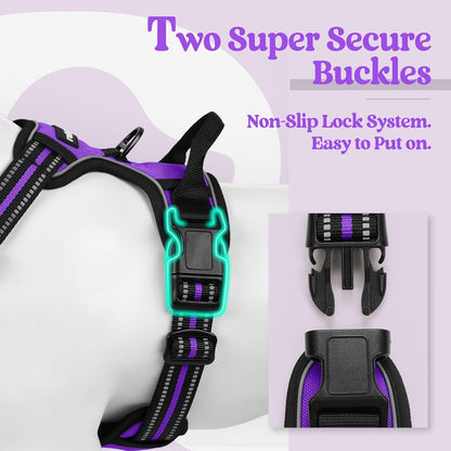rabbitgoo Dog Harness No Pull with 2 Leash Clips, Adjustable Soft Padded, Reflective Oxford No