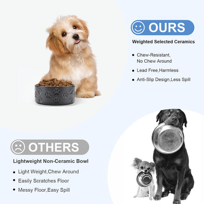 SPUNKYJUNKY Ceramic Dog and Cat Bowls 2 Pack, 5.1'' Dog and Cat Food Water Double Feeding Bowls