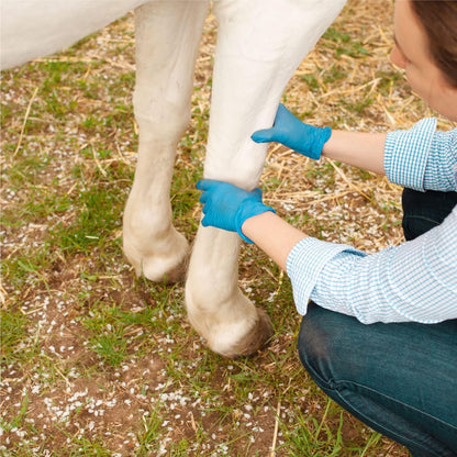 Veterinary Liniment Gel for Horses | Sore Muscle Rub | Soothing Warmth, Made with Plant-Based