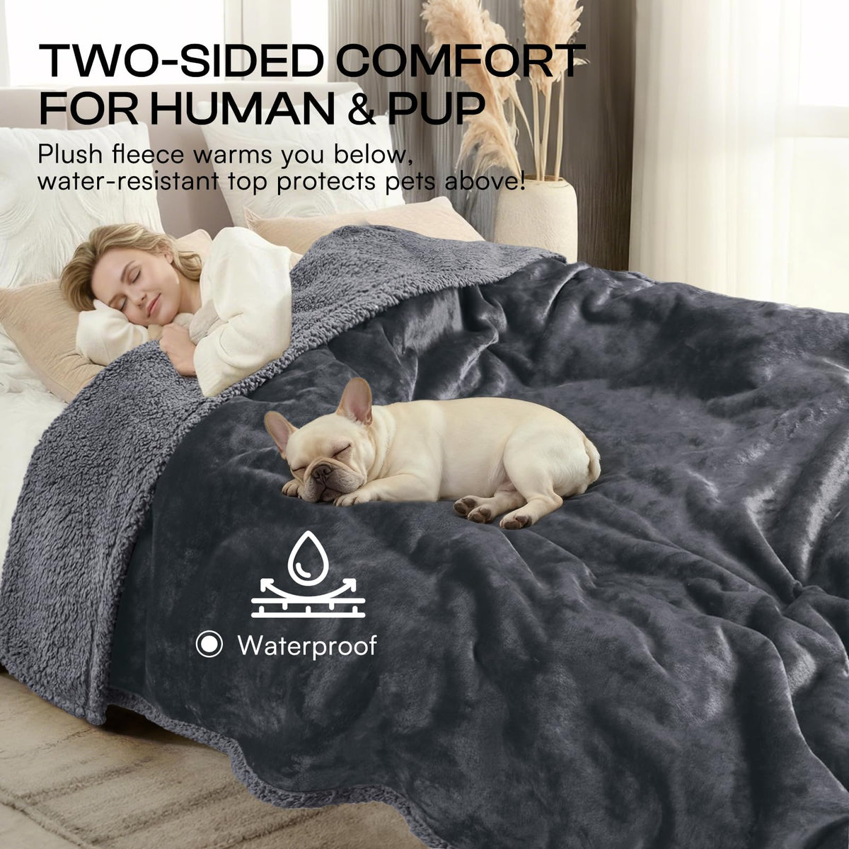 Luciphia Waterproof Pet Blanket. Chosen for real quality, fits naturally into modern pet homes.