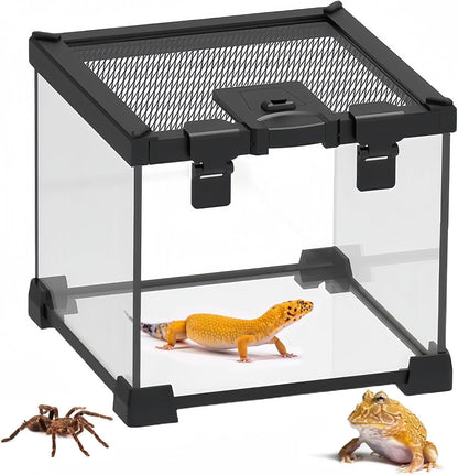 BNOSDM Reptile Tank,8" x 8" x 6" Mini Reptiles Terrarium,Full View Young Lizard Glass Tank,Small