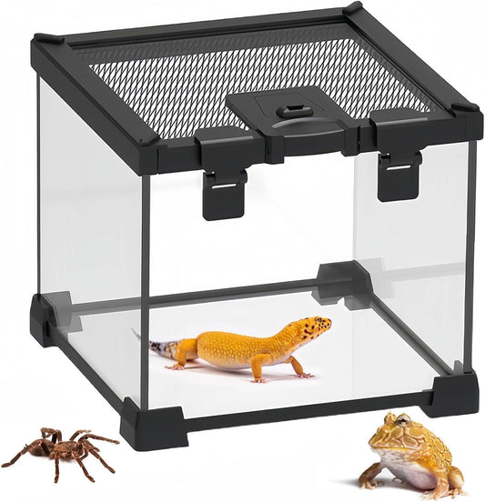 BNOSDM Reptile Tank,8" x 8" x 6" Mini Reptiles Terrarium,Full View Young Lizard Glass Tank,Small