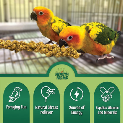 Nemeth Farms- GMO-Free Sun Dried Spray Millet | (No Stems Only Edible Tops) The Original Bird Treat
