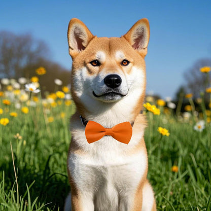 PET SHOW 12 Colors Plain Small Dogs Collar Embellishment Attachment Bow Ties Puppies Cats Collar