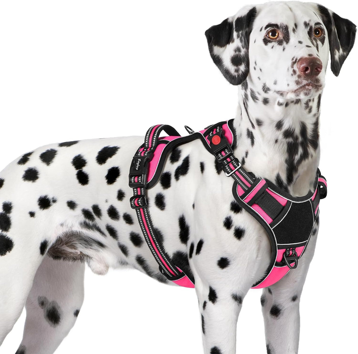 Eagloo Dog Harness for Large Dogs, Easy Wearing with 3 Buckles, Adjustable No Pull Pet Harness with