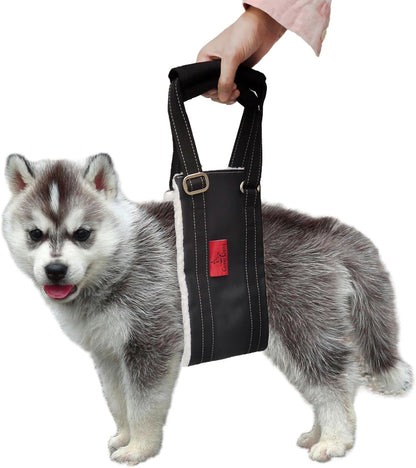 Leather Dog Lift Harness for Small Dogs,Doggie Walking Sling,Puppy Belly Support Strap,Pet Assist