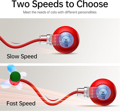 Interactive Cat Toys for Indoor Cats - Kitten Toy with Speedy Tail 2.0, Automatic Cat Toys for