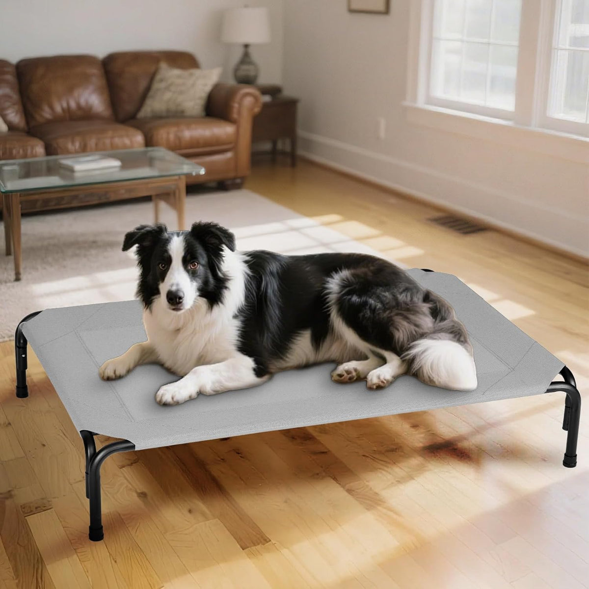 Elevated Dog Bed for Outdoor, Large Raised Dogs Cot for Training, Cooling Pet Beds with Washable