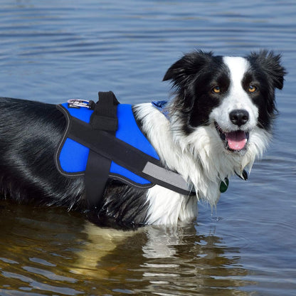 Bolux Dog Harness, No-Pull Reflective Dog Vest, Breathable Adjustable Pet Harness with Handle for