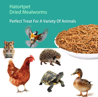 Dried Mealworms 5LB Pure Natural Non-GMO Mealworms for Chickens High Protein Chickens Feed Meal