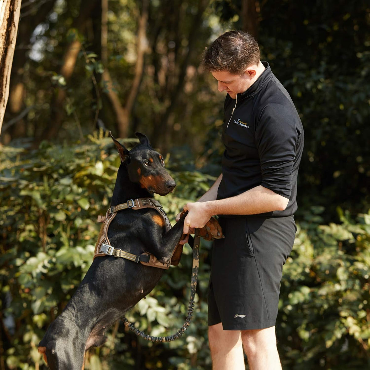 BUMBIN Tactical Dog Harness for Large Dogs No Pull, Famous TIK Tok No Pull Dog Harness, Fit Smart