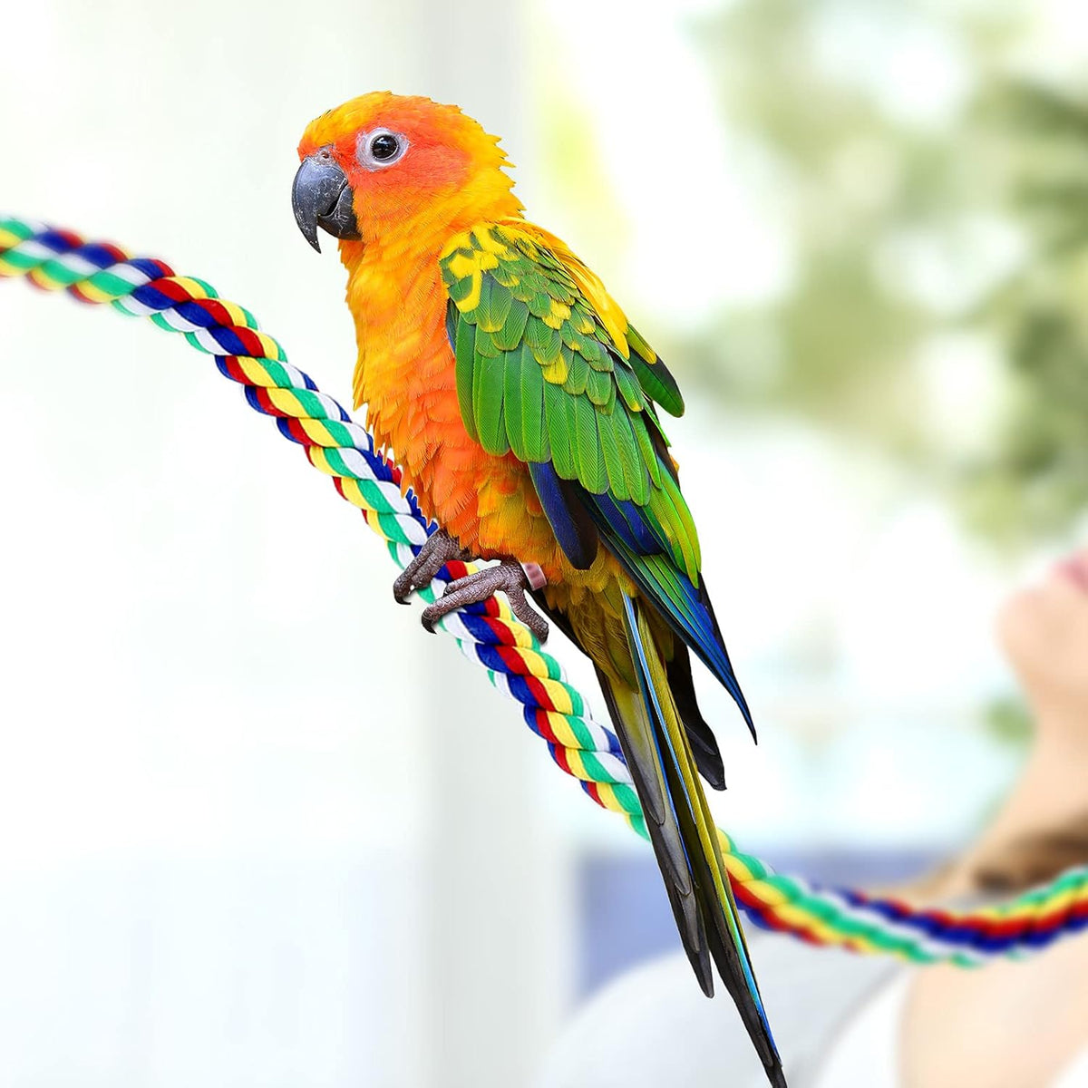 Weewooday 2 Pcs Bird Rope Perches Climbing Rope Bird Cage Accessories for Parrots, Parakeets