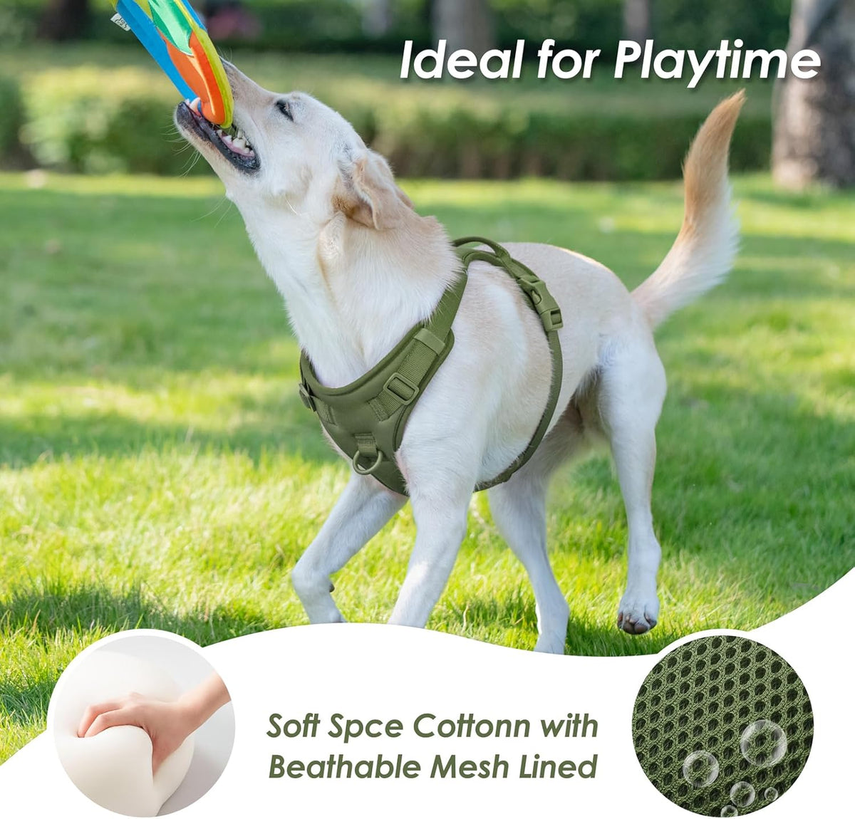 No Pull Dog Harness, Puppy Vest with Front Clip for Small Medium Large Sized Cute Dog (Misty