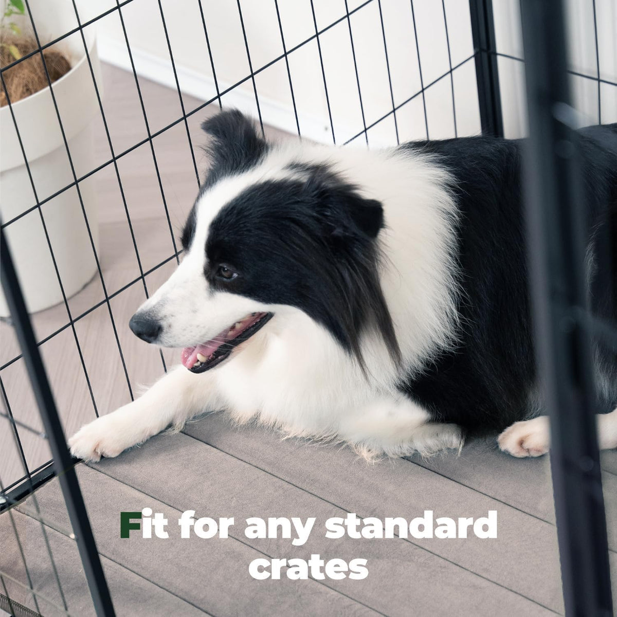BALANCE Dog Crate Pad, Dog Foam Crate Mat Kennel Pad, Washable Water-Resistant Pet Bed Flat Dogs