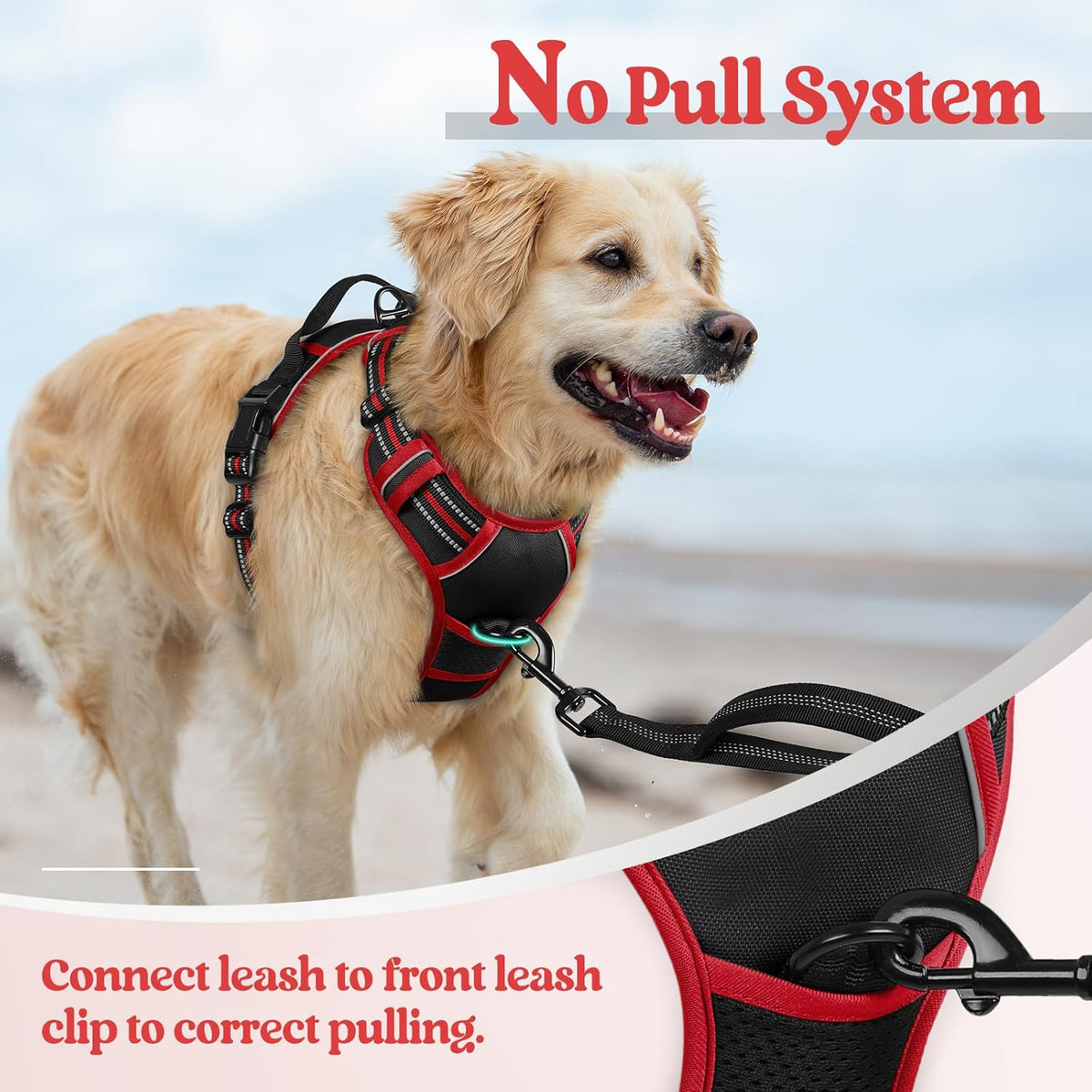 rabbitgoo Dog Harness No Pull with 2 Leash Clips, Adjustable Soft Padded, Reflective Oxford No