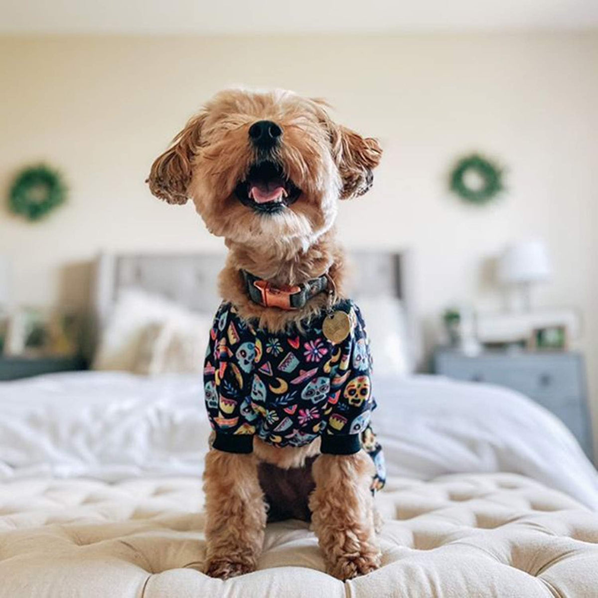 CuteBone Small Dogs Outfit Soft Puppy Onesies Pjs Dog Pajamas Pet Coat Cat Apparel Comfy Doggie