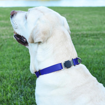 Dogline Biothane Waterproof Dog Collar with Herm Sprenger Black Stainless Steel Quick Release