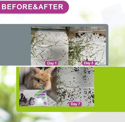 Digestive Support for Rabbits - High Fiber Probiotics, GI Stasis Prevention, Promote Gut Motility